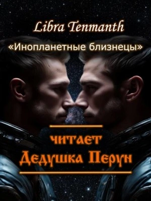 Инопланетные близнецы - Libra Tenmanth Слушать аудио книги онлайн без регистрации полностью бесплатно - knigavkarmane.net