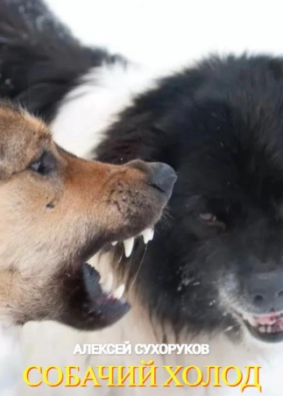 Собачий холод - Алексей Сухоруков Слушать аудио книги онлайн без регистрации полностью бесплатно - knigavkarmane.net