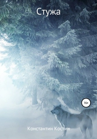 Стужа - Константин Костин Слушать аудио книги онлайн без регистрации полностью бесплатно - knigavkarmane.net
