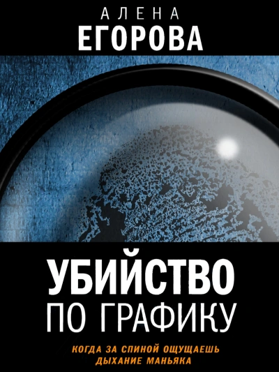 Убийство по графику - Алена Егорова Слушать аудио книги онлайн без регистрации полностью бесплатно - knigavkarmane.net