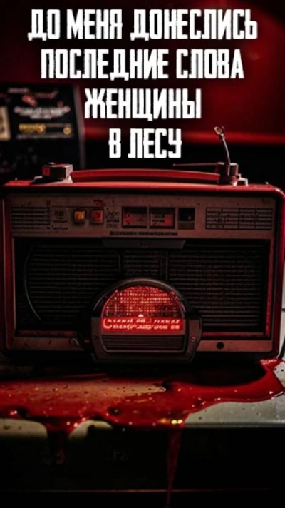До меня донеслись последние слова женщины в лесу Слушать аудио книги онлайн без регистрации полностью бесплатно - knigavkarmane.net