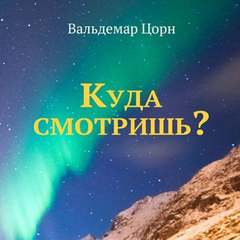 Куда смотришь? - Вальдемар Цорн Слушать аудио книги онлайн без регистрации полностью бесплатно - knigavkarmane.net
