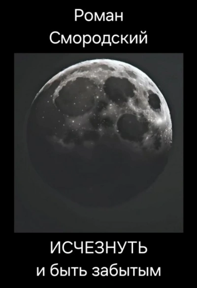 Исчезнуть и быть забытым - Роман Смородский Слушать аудио книги онлайн без регистрации полностью бесплатно - knigavkarmane.net