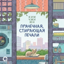 Прачечная, стирающая печали - Ким Чжи Юн Слушать аудио книги онлайн без регистрации полностью бесплатно - knigavkarmane.net