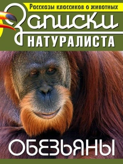 Рассказы классиков о животных. Обезьяны Слушать аудио книги онлайн без регистрации полностью бесплатно - knigavkarmane.net