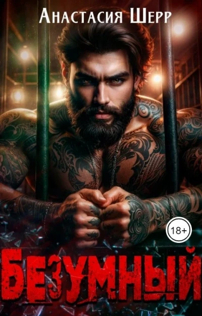 Безумный - Анастасия Шерр Слушать аудио книги онлайн без регистрации полностью бесплатно - knigavkarmane.net