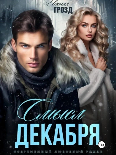 Смысл декабря - Евгения Грозд Слушать аудио книги онлайн без регистрации полностью бесплатно - knigavkarmane.net