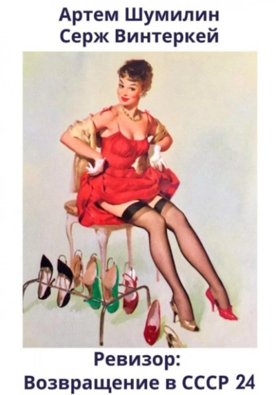 Ревизор: возвращение в СССР 24 - Серж Винтеркей, Артем Шумилин Слушать аудио книги онлайн без регистрации полностью бесплатно - knigavkarmane.net