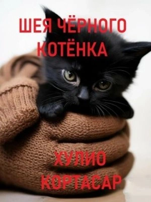 Шея чёрного котёнка - Хулио Кортасар Слушать аудио книги онлайн без регистрации полностью бесплатно - knigavkarmane.net