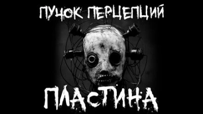 Пластина - Пучок Перцепций Слушать аудио книги онлайн без регистрации полностью бесплатно - knigavkarmane.net