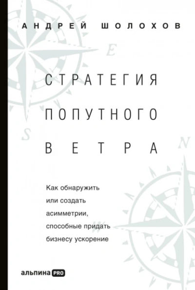 Стратегия попутного ветра. Как обнаружить или создать асимметрии, способные придать бизнесу ускорение - Андрей Шолохов Слушать аудио книги онлайн без регистрации полностью бесплатно - knigavkarmane.net