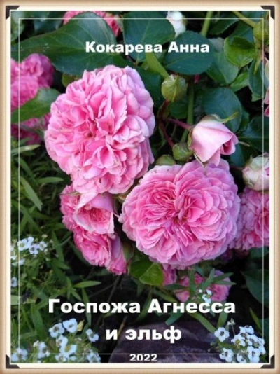 Госпожа Агнесса и эльф - Анна Кокарева Слушать аудио книги онлайн без регистрации полностью бесплатно - knigavkarmane.net