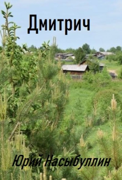 Дмитрич - Юрий Насыбуллин Слушать аудио книги онлайн без регистрации полностью бесплатно - knigavkarmane.net