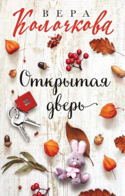 Открытая дверь - Вера Колочкова Слушать аудио книги онлайн без регистрации полностью бесплатно - knigavkarmane.net