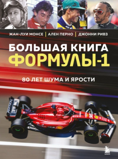 Большая книга Формулы-1. 80 лет шума и ярости - Жан-Луи Монсе Слушать аудио книги онлайн без регистрации полностью бесплатно - knigavkarmane.net