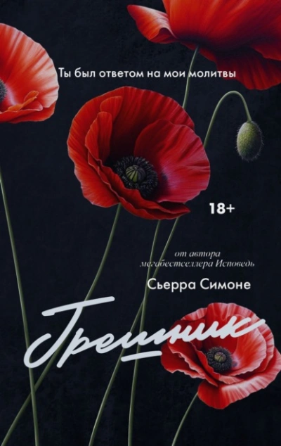 Грешник - Симоне Сьерра Слушать аудио книги онлайн без регистрации полностью бесплатно - knigavkarmane.net
