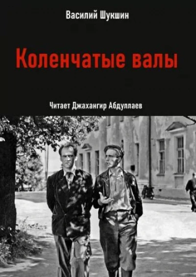 Коленчатые валы - Василий Шукшин Слушать аудио книги онлайн без регистрации полностью бесплатно - knigavkarmane.net