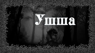 Ушша - Денис Приёмышев, Ольга Цветкова Слушать аудио книги онлайн без регистрации полностью бесплатно - knigavkarmane.net