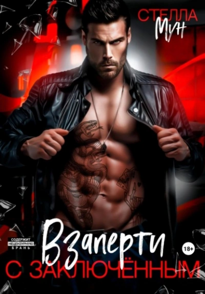 Взаперти с заключенным - Стелла Мун Слушать аудио книги онлайн без регистрации полностью бесплатно - knigavkarmane.net