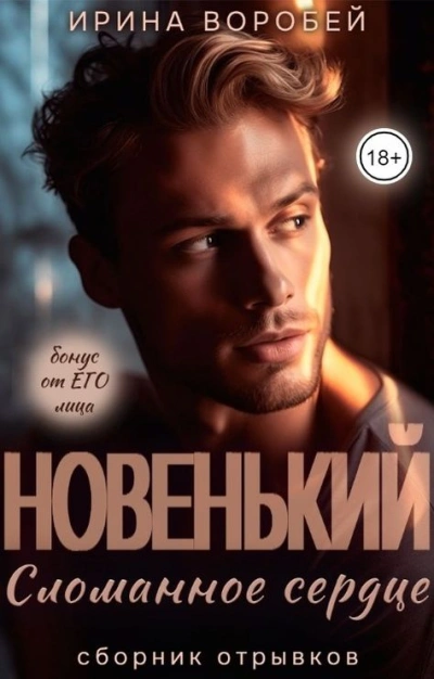 Новенький. Сломанное сердце - Ирина Воробей Слушать аудио книги онлайн без регистрации полностью бесплатно - knigavkarmane.net