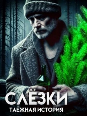 Слёзки - Василий Завадский Слушать аудио книги онлайн без регистрации полностью бесплатно - knigavkarmane.net