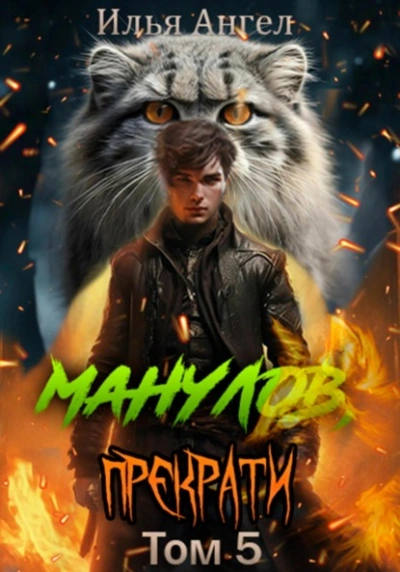 Манулов, прекрати! Том 5 - Илья Ангел Слушать аудио книги онлайн без регистрации полностью бесплатно - knigavkarmane.net