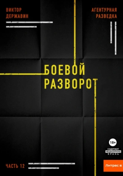 Боевой разворот - Виктор Державин Слушать аудио книги онлайн без регистрации полностью бесплатно - knigavkarmane.net