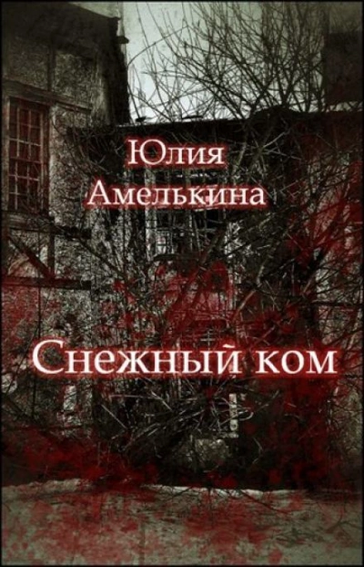 Снежный ком - Юлия Амелькина Слушать аудио книги онлайн без регистрации полностью бесплатно - knigavkarmane.net