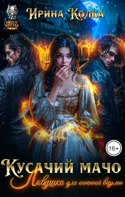 Ловушка для огненной ведьмы - Ирина Колка Слушать аудио книги онлайн без регистрации полностью бесплатно - knigavkarmane.net
