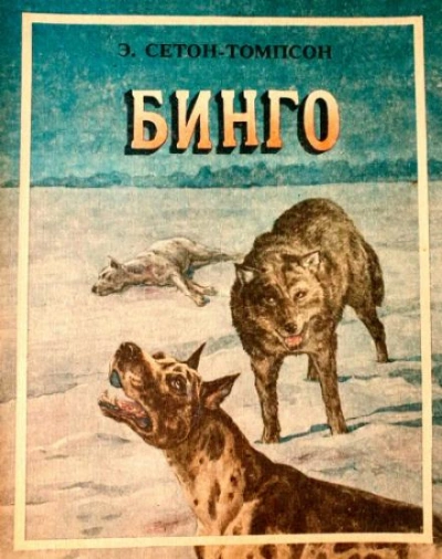 Бинго - Эрнест Сетон-Томпсон Слушать аудио книги онлайн без регистрации полностью бесплатно - knigavkarmane.net