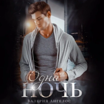 Одна ночь - Валерия Ангелос Слушать аудио книги онлайн без регистрации полностью бесплатно - knigavkarmane.net