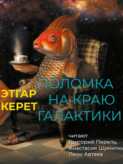 Поломка на краю галактики - Этгар Керет Слушать аудио книги онлайн без регистрации полностью бесплатно - knigavkarmane.net