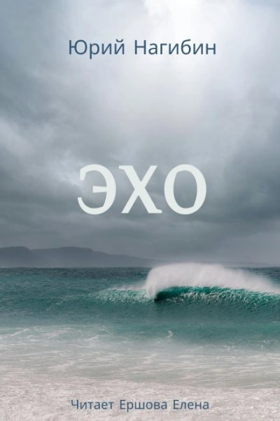 Эхо - Юрий Нагибин Слушать аудио книги онлайн без регистрации полностью бесплатно - knigavkarmane.net