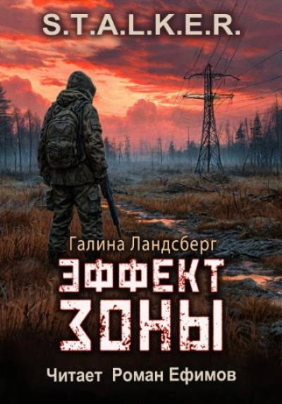 Эффект Зоны. S.T.A.L.K.E.R. - Галина Ландсберг Слушать аудио книги онлайн без регистрации полностью бесплатно - knigavkarmane.net