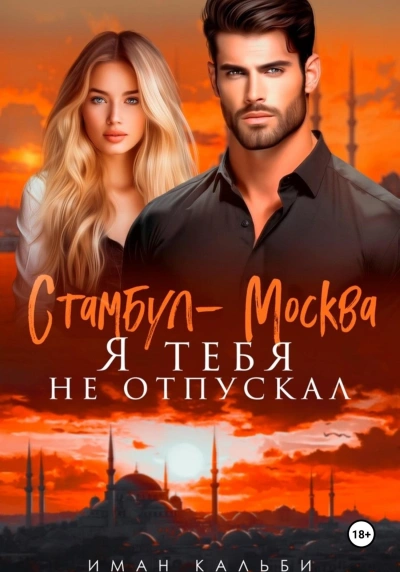 Стамбул-Москва. Я тебя не отпускал - Иман Кальби Слушать аудио книги онлайн без регистрации полностью бесплатно - knigavkarmane.net