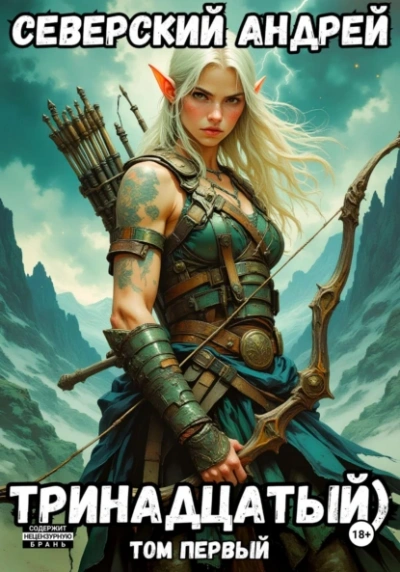 Тринадцатый. Том 1 - Андрей Северский Слушать аудио книги онлайн без регистрации полностью бесплатно - knigavkarmane.net