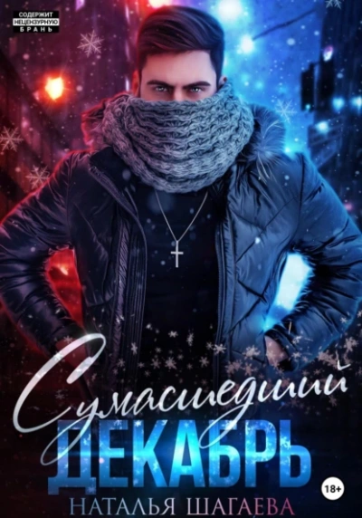 Сумасшедший декабрь - Наталья Шагаева Слушать аудио книги онлайн без регистрации полностью бесплатно - knigavkarmane.net