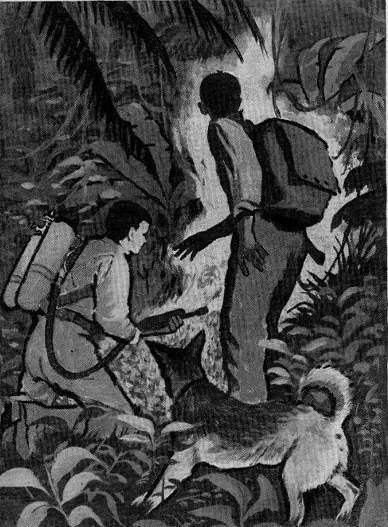 Новичок в космосе - Роберт Хайнлайн Слушать аудио книги онлайн без регистрации полностью бесплатно - knigavkarmane.net