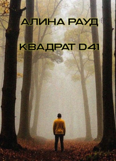 Квадрат D41 - Алина Рауд Слушать аудио книги онлайн без регистрации полностью бесплатно - knigavkarmane.net