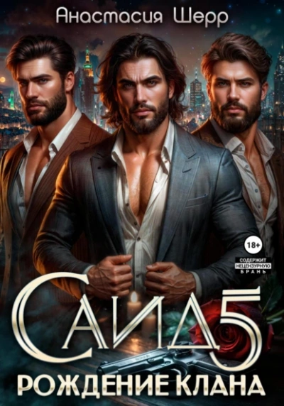 Саид 5. Рождение клана - Анастасия Шерр Слушать аудио книги онлайн без регистрации полностью бесплатно - knigavkarmane.net