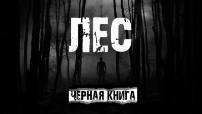 Лес - AkimSARR Слушать аудио книги онлайн без регистрации полностью бесплатно - knigavkarmane.net