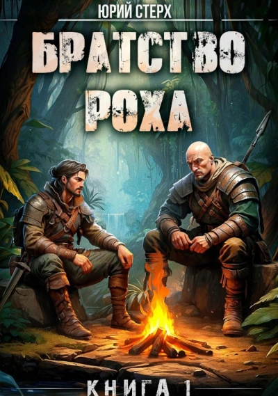 Братство Роха - Юрий Стерх Слушать аудио книги онлайн без регистрации полностью бесплатно - knigavkarmane.net