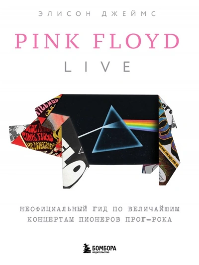 Pink Floyd Live: Неофициальный гид по величайшим концертам пионеров прог-рока - Элисон Джеймс Слушать аудио книги онлайн без регистрации полностью бесплатно - knigavkarmane.net