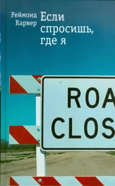 На расстоянии - Реймонд Карвер Слушать аудио книги онлайн без регистрации полностью бесплатно - knigavkarmane.net