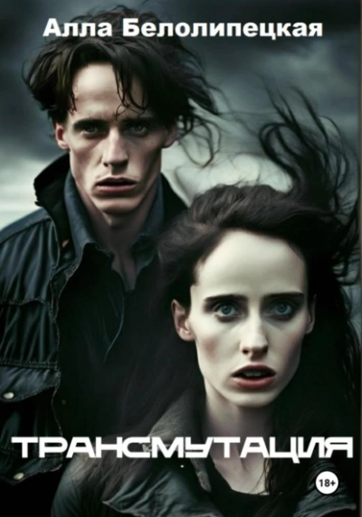 Трансмутация - Алла Белолипецкая Слушать аудио книги онлайн без регистрации полностью бесплатно - knigavkarmane.net