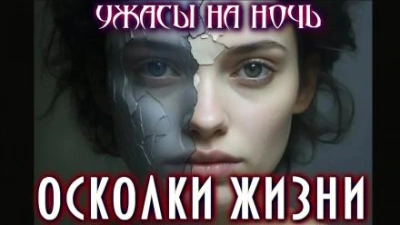 Осколки жизни - Мэтт Димерски Слушать аудио книги онлайн без регистрации полностью бесплатно - knigavkarmane.net