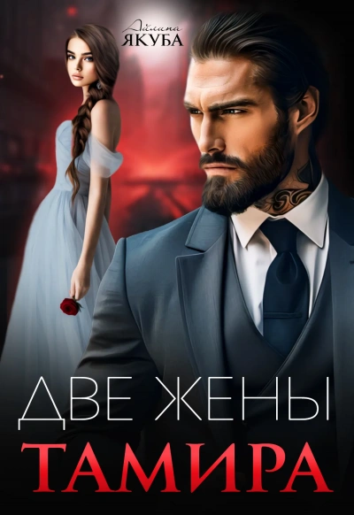 Две жены Тамира - Айлина Якуба Слушать аудио книги онлайн без регистрации полностью бесплатно - knigavkarmane.net