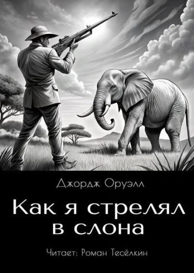 Как я стрелял в слона - Джордж Оруэлл Слушать аудио книги онлайн без регистрации полностью бесплатно - knigavkarmane.net