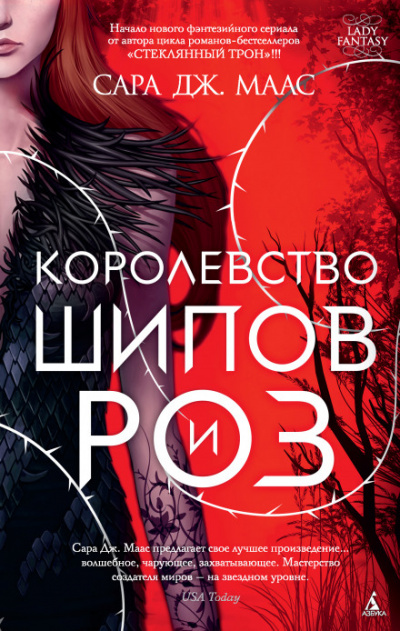 Королевство шипов и роз - Сара Дж. Маас Слушать аудио книги онлайн без регистрации полностью бесплатно - knigavkarmane.net
