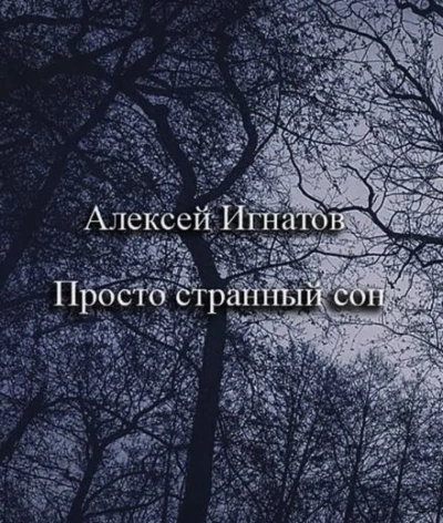 Просто странный сон - Алексей Игнатов Слушать аудио книги онлайн без регистрации полностью бесплатно - knigavkarmane.net